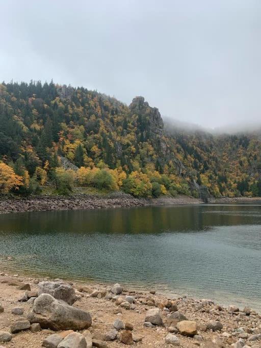 Le Belvedere Du Lac Blanc Orbey Εξωτερικό φωτογραφία