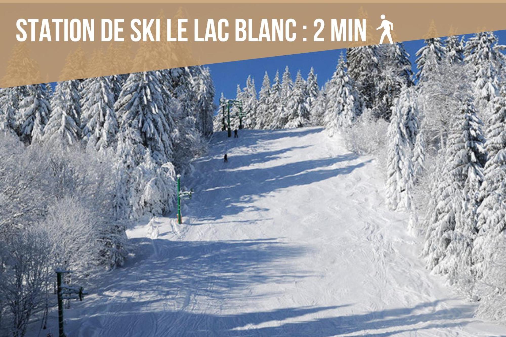 Le Belvedere Du Lac Blanc Orbey Εξωτερικό φωτογραφία